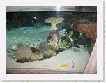 Dierentuin Burgers  Zoo 041 * 3648 x 2736 * (4.75MB)